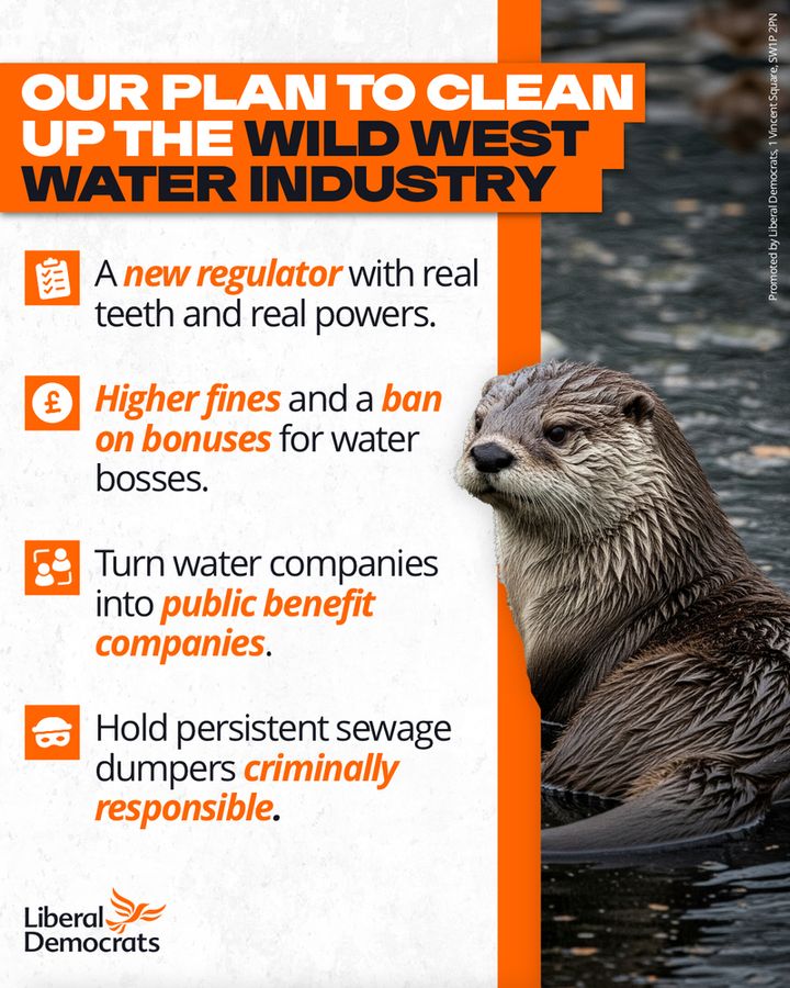 A policy explainer graphic that features a sad otter with the words on it saying:  

Our plan to clean up the Wild West Water Industry

A new regulator with real teeth and real powers.

Higher fines and a ban on bonuses for water bosses.

Turn water companies into public benefit companies.

Hold persistent sewage dumpers criminally responsible.