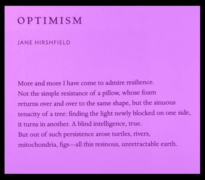 Optimism by Jane Hirshfield