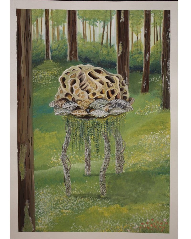 Gouache painting on paper. 

There is a tree in the foreground off the left of the page like the viewer is peering around it. Standing not too far from this tree on grass covered with small white yellow and red flowers, is a tall bipedal mushroom creature. Its legs are chunky grey wooden vines, where the vines meet its body you have oyster mushrooms in an array of browns, greys and hints of greens and yellows, underneath these mushrooms is hiding an open mouth with small sharp teeth. Hanging down from its thin chin are long moss like strands in an array of greens and yellows. Above the oyster mushrooms is a misshapen dome of morel mushroom which creates the rest of the creature’s body this is painted in beige and browns with hints of yellow.
Behind the creature continues the grass with hints of small flowers leading towards tall thin trees with moss growing on them in whites and yellows and dense bushes further in the background trees continue until it fades into a pale light bluish green. 