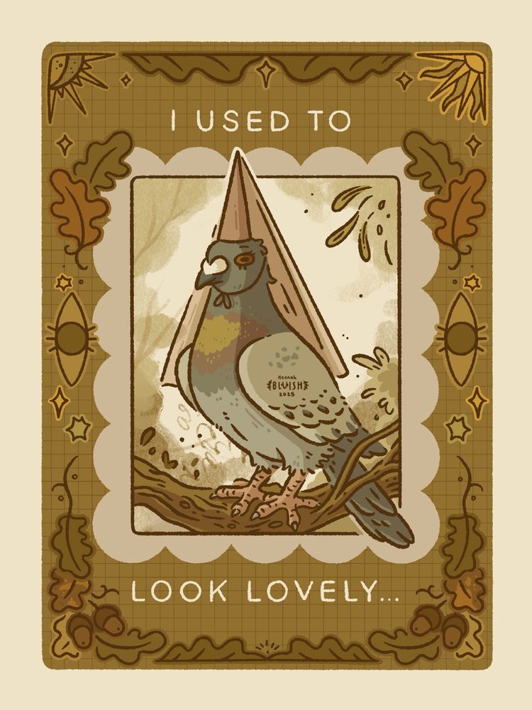 Pretty pigeon
