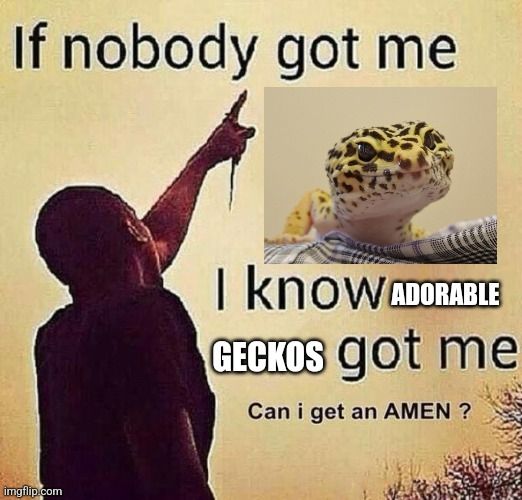 Man pointing up to the sky with text that reads, "If nobody got me, I know adorable geckos got me. Can I get an amen?" With a picture of a leopard gecko
