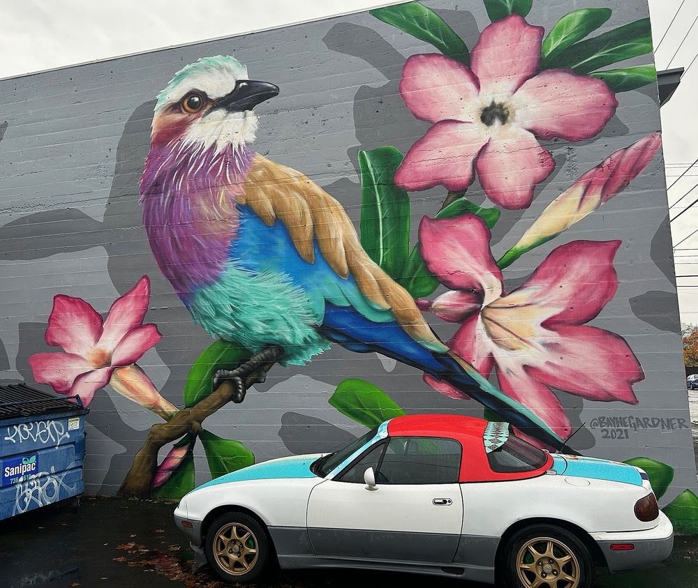 Mural of a lilac-breasted roller (a bird with a lilac breast, white face with rusty cheeks, a pale green crown, turquoise and dark blue lower body). Painted on a gray brick wall with pink flowers by Bayne Gardner.