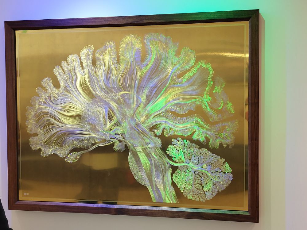 Self Reflected microetching by Dr. Greg Dunn (artist and neuroscientist) and Dr. Brian Edwards (artist and applied physicist). It's a 22K handmade gilded microetching of a sagittal slice of the human brain at 22X scale. Learn more at https://www.gregadunn.com/self-reflected/.