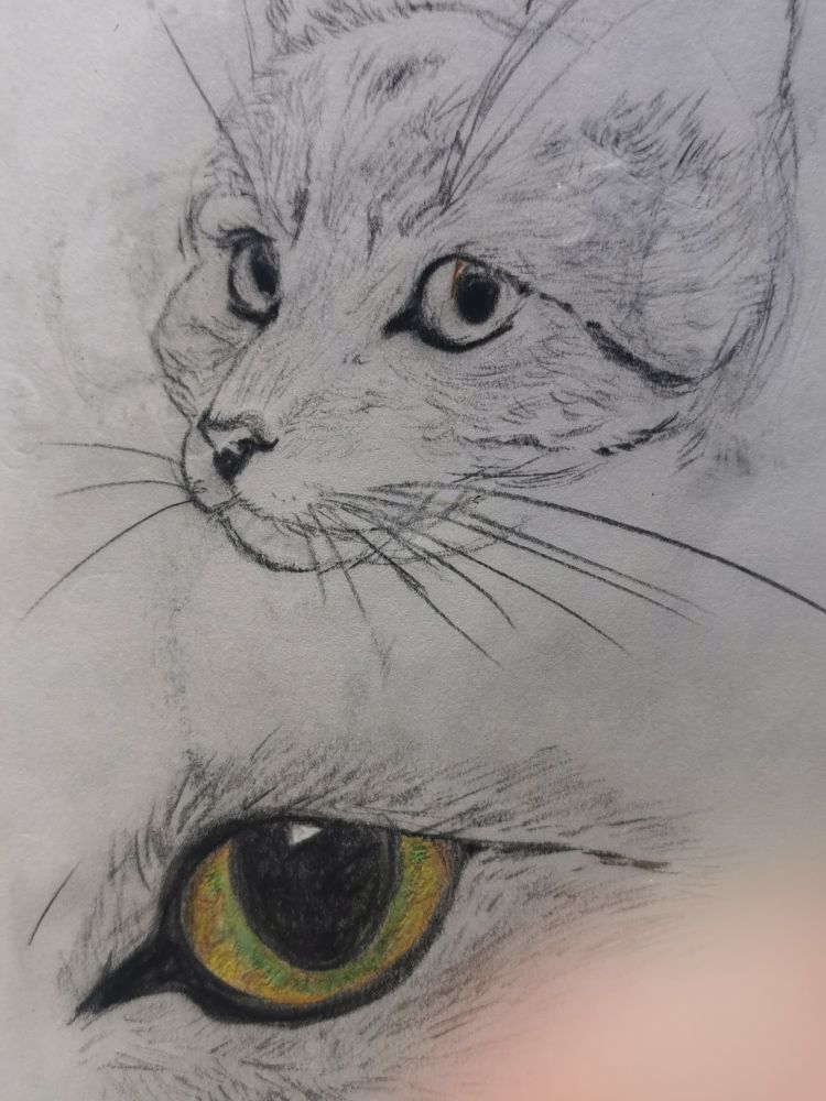 Drawing of a car, pencil, sketchbook