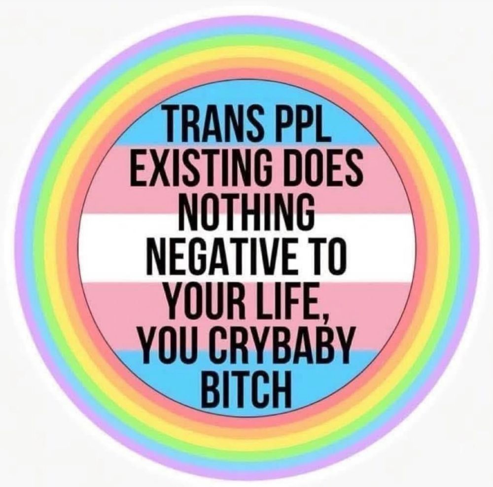 On a white background, a rainbow circle surrounds the trans flag. Written on the trans flag is the text "trans ppl existing does nothing negative to your life, you crybaby bitch"
