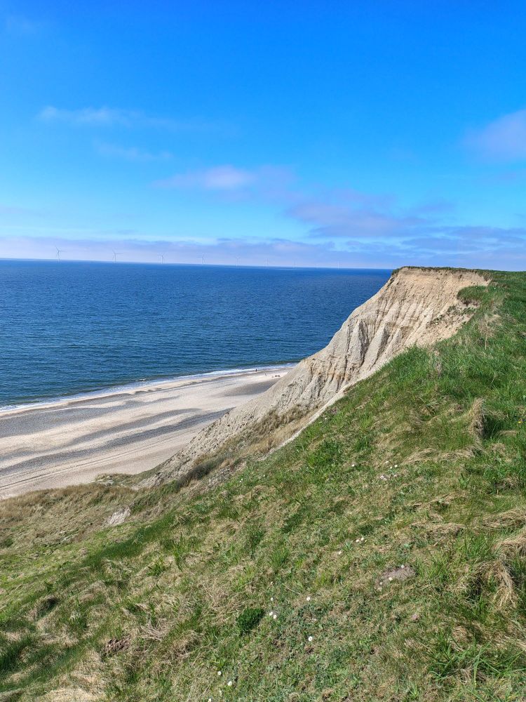 Sandy cliff by the sea
