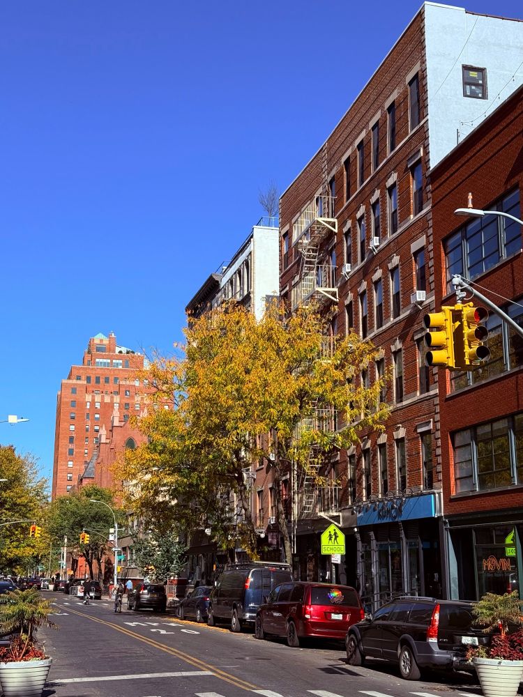NYC street on a gorgeous fall day with trees over some cars