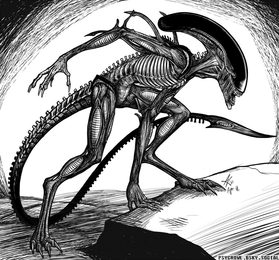 Digital black and white ink drawing of a Xenomorph/Alien. It hisses and prepares to attack a perceived threat.
The file name of this one is livestream alien, which brought me back to when I livestreamed this. I no longer do so due to crap internet, but those were fun times! This drawing killed my wrist, and was my first real attempt at digitally inking like I do with a pen.