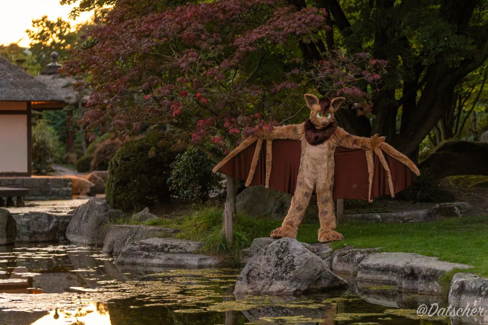 Photo of Neop the bat (fursuit) in the beginning evening, standing at a pond and spreading his wings towards the viewer. There are trees with green and red leaves behind him and boulders in the pond.