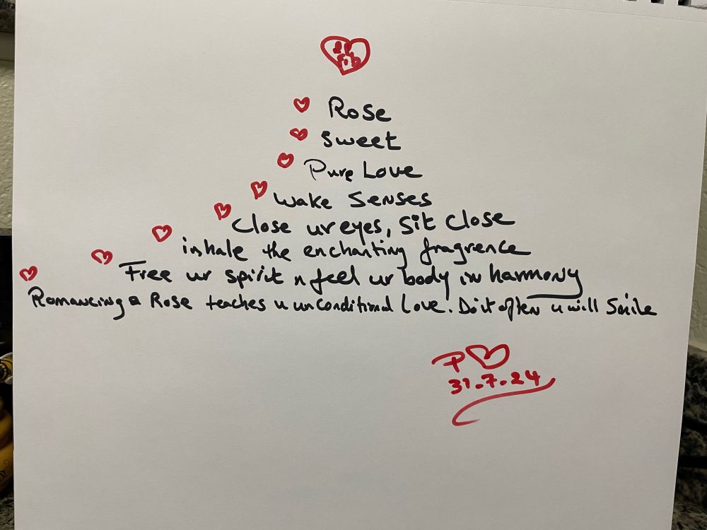 🕊️🕊️🕊️🕊️💕💕💕💕