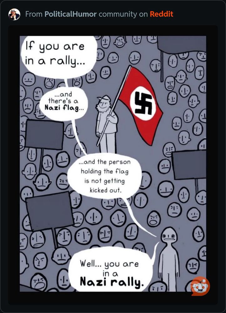 Person holding a Nazi flag in a crowd. Text says if you are in a rally…and there’s a Nazi flag…and the person holding the flag is not getting kicked out, well…you are in a Nazi rally.