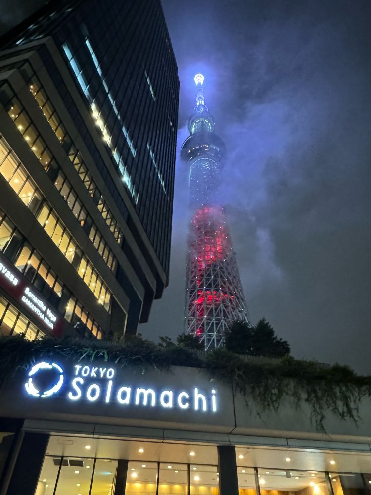 Sky Tree in Tokyo Japan in the fog and rain. 