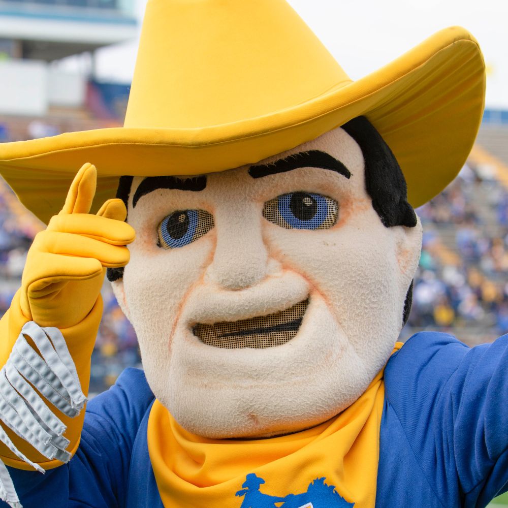 McNeese Cowboy