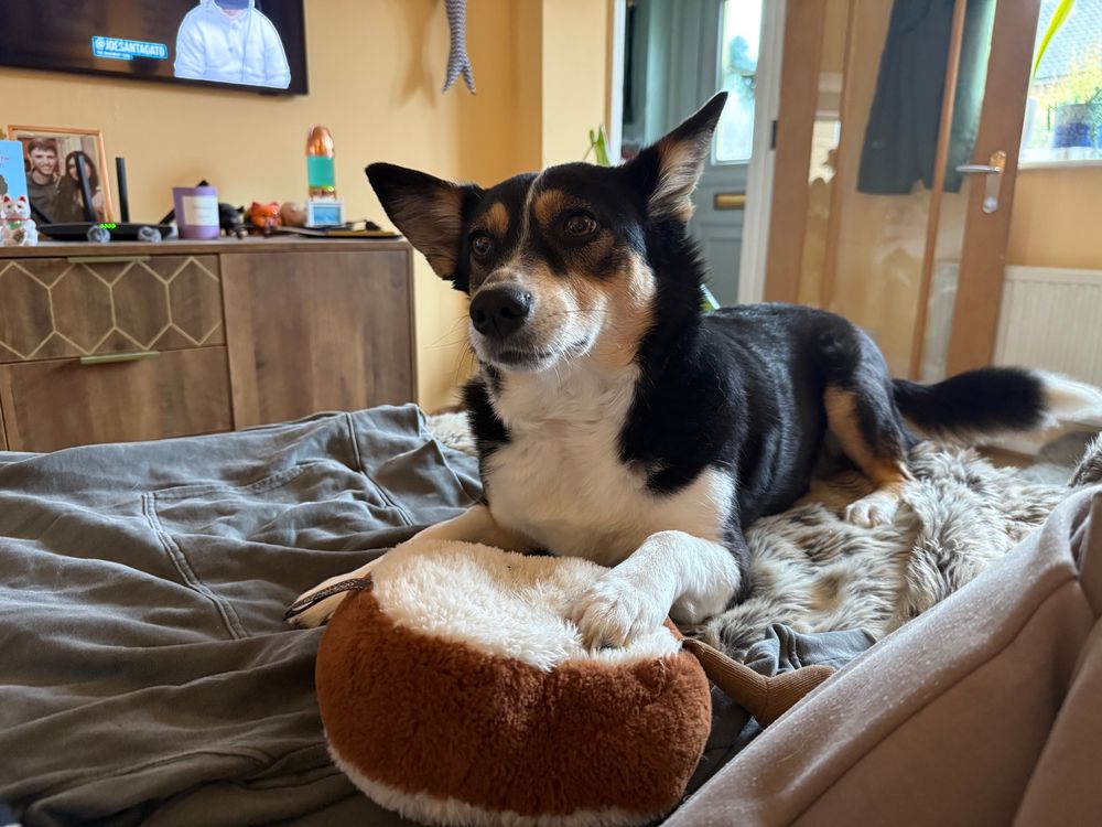 A little fig and her favourite bread 
