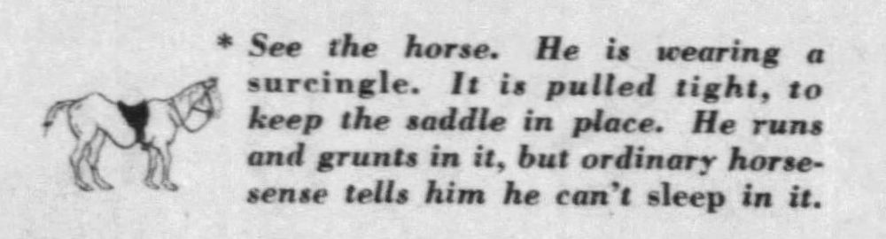 Crop of part of the Faultless Nobelt Pajamas advertisement.

Image of a horse with text:
"*See the horse. He is wearing a surcingle. It is pulled tight, to keep the saddle in place. He runs and grunts in it, but ordinary horse-sense tells him he can't sleep  in it."