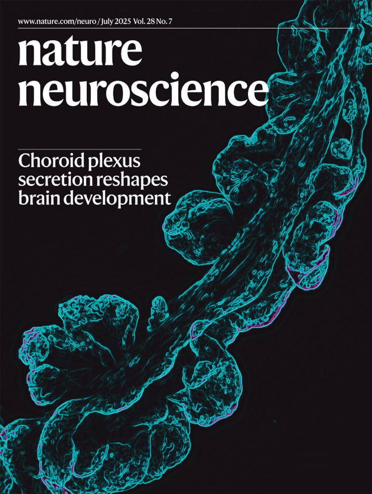 Nature Neuroscience July cover. The cover shows fourth ventricle choroid plexus from a mouse at embryonic day 16.5, stained for the water channel AQP1