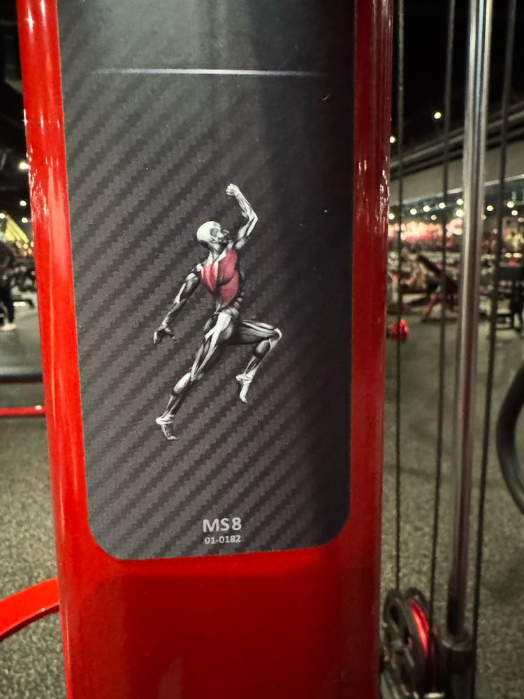 An anatomy model on a piece of gym equipment. It’s a stylized human body showing the major muscles etc, with red shading to indicate which muscles this particular machine targets. Usually these models are just an front and rear view of the body, side by side. However, this one has the person leaping up off of their right foot, with their torso turned slightly to the left and their left arm extended behind them, their left knee raised and their right arm punching into the sky. You can still see all of the muscle groups, and plus they look like Mario jumping to break a block