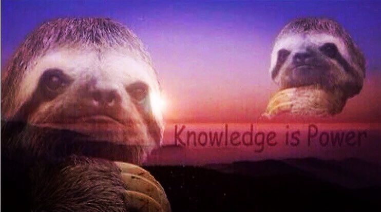 Knowledge is power y es un oso perzoso
