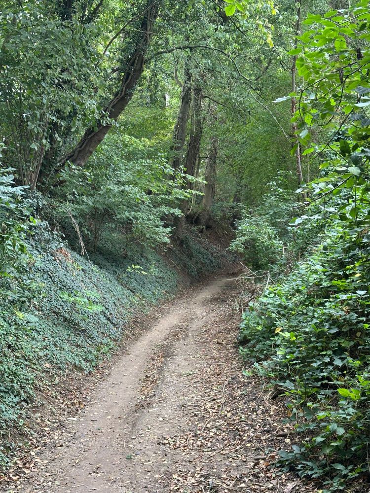 A gravel path in what is called a “hollow road” in South Limburg. The sides rise up next to the path and the trees create a ceiling over it.