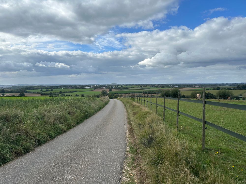 A road going down a hill in South Limburg. There is grass on both sides