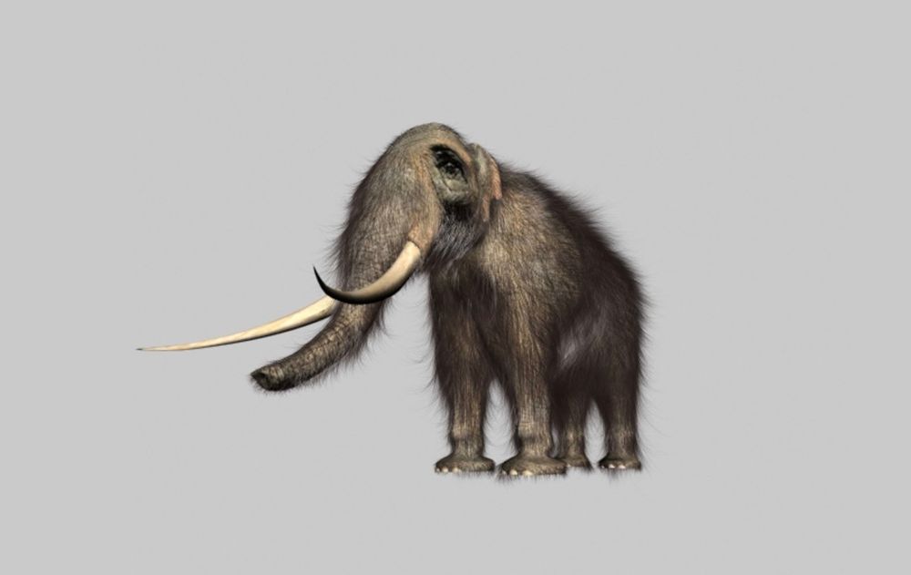 A weird looking model of a 3D mammoth.