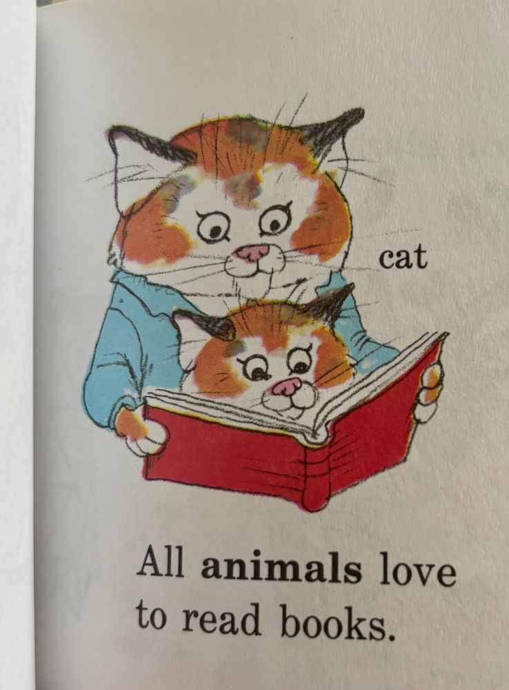 Big cat and little cat read together. The caption reads ‘all animals love to read books’