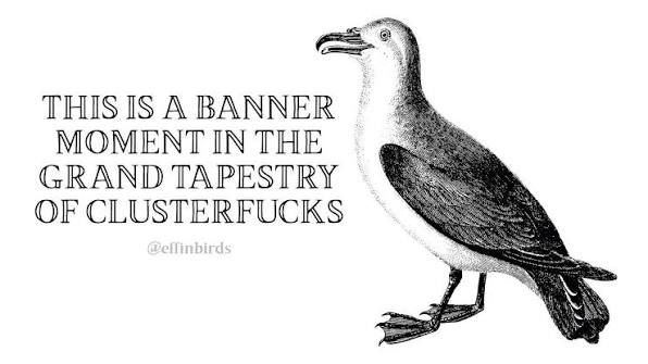 EffinBirds saying "This is a banner moment in the grand tapestry of clusterfucks"