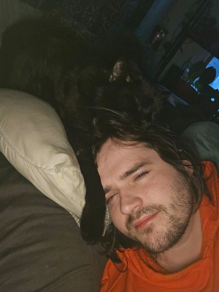 Cat version of James Gandolfini 