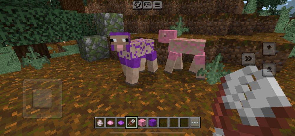 Sheared pink and purple sheep