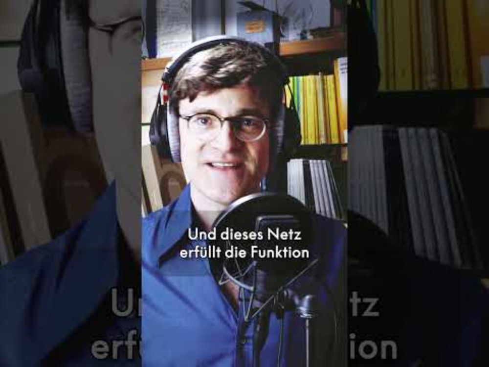 Das endoplasmatische Retikulum