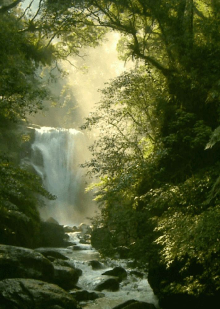 a waterfall is surrounded by trees and rocks with the sun shining through the trees