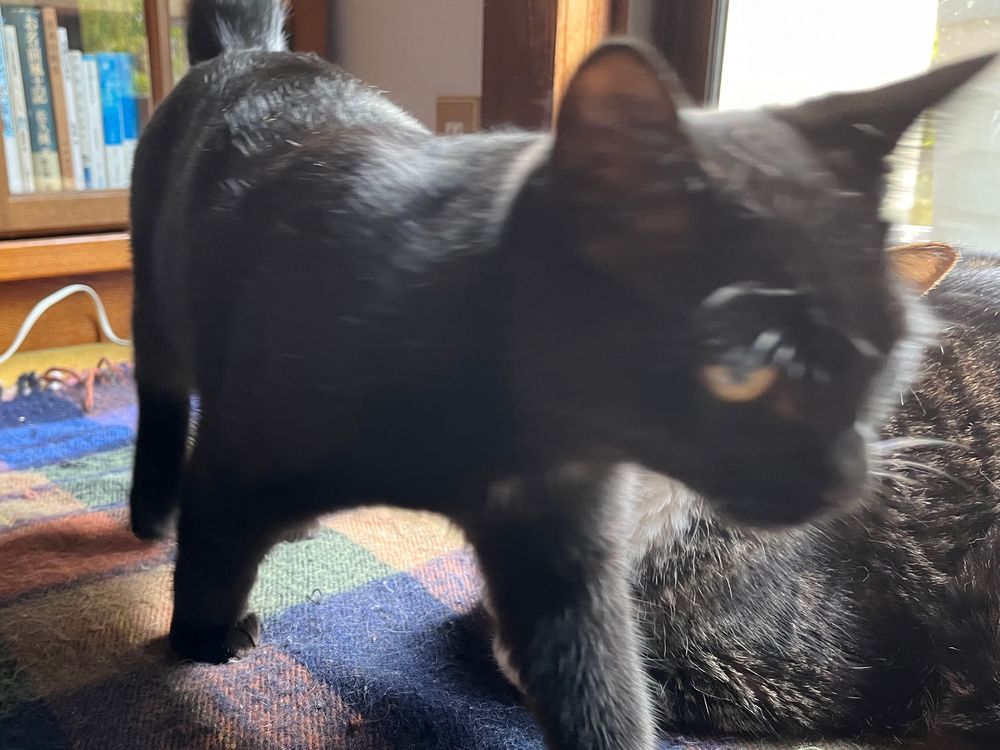 その後サクッと通り抜ける勘兵衛