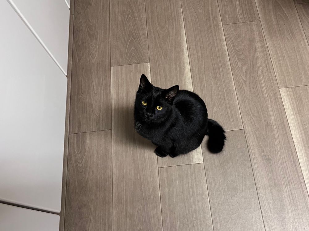 床に座って怪訝そうな顔で見上げる勘兵衛