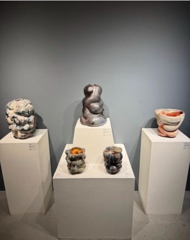 Five organic abstract ceramic vessels displayed on pedestals