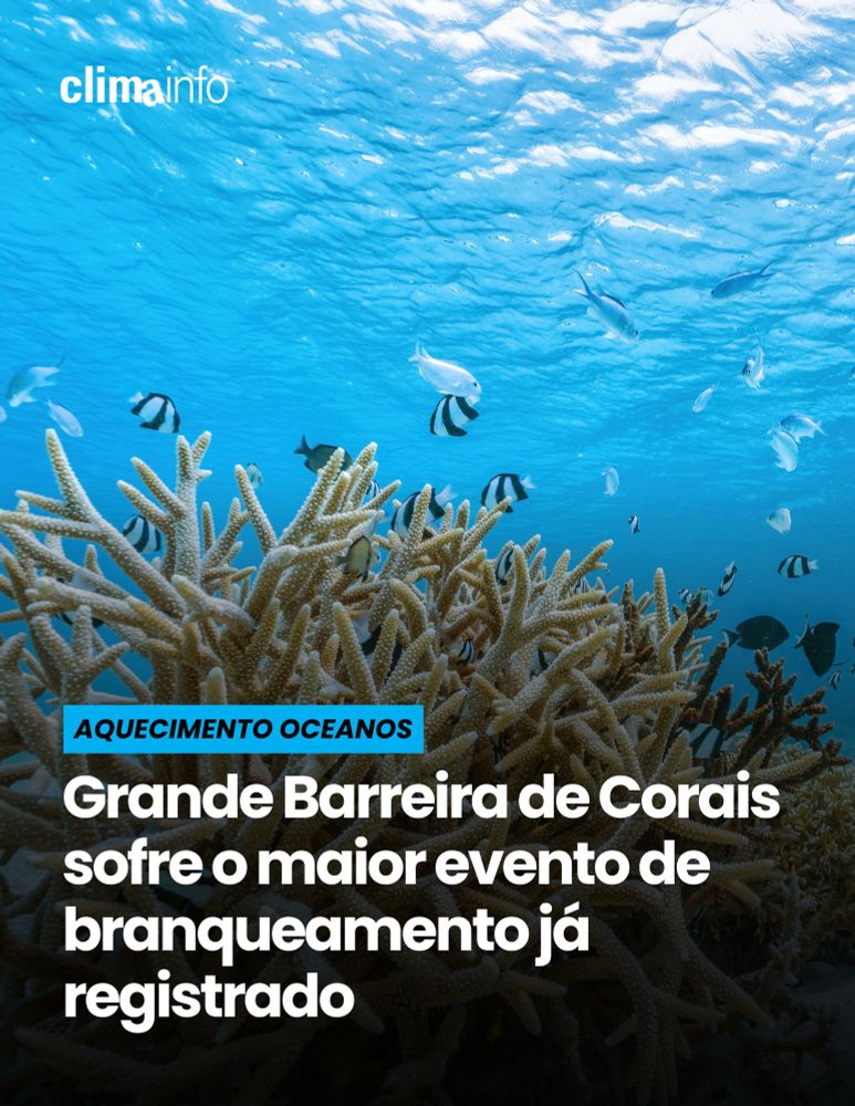 Na imagem de fundo mostra peixes e corais no fundo do mar. No card em azul, diz “Aquecimento Oceanos” seguido pelo titulo “Grande Barreira de Corais sofre o maior evento de branqueamento já registrado.”