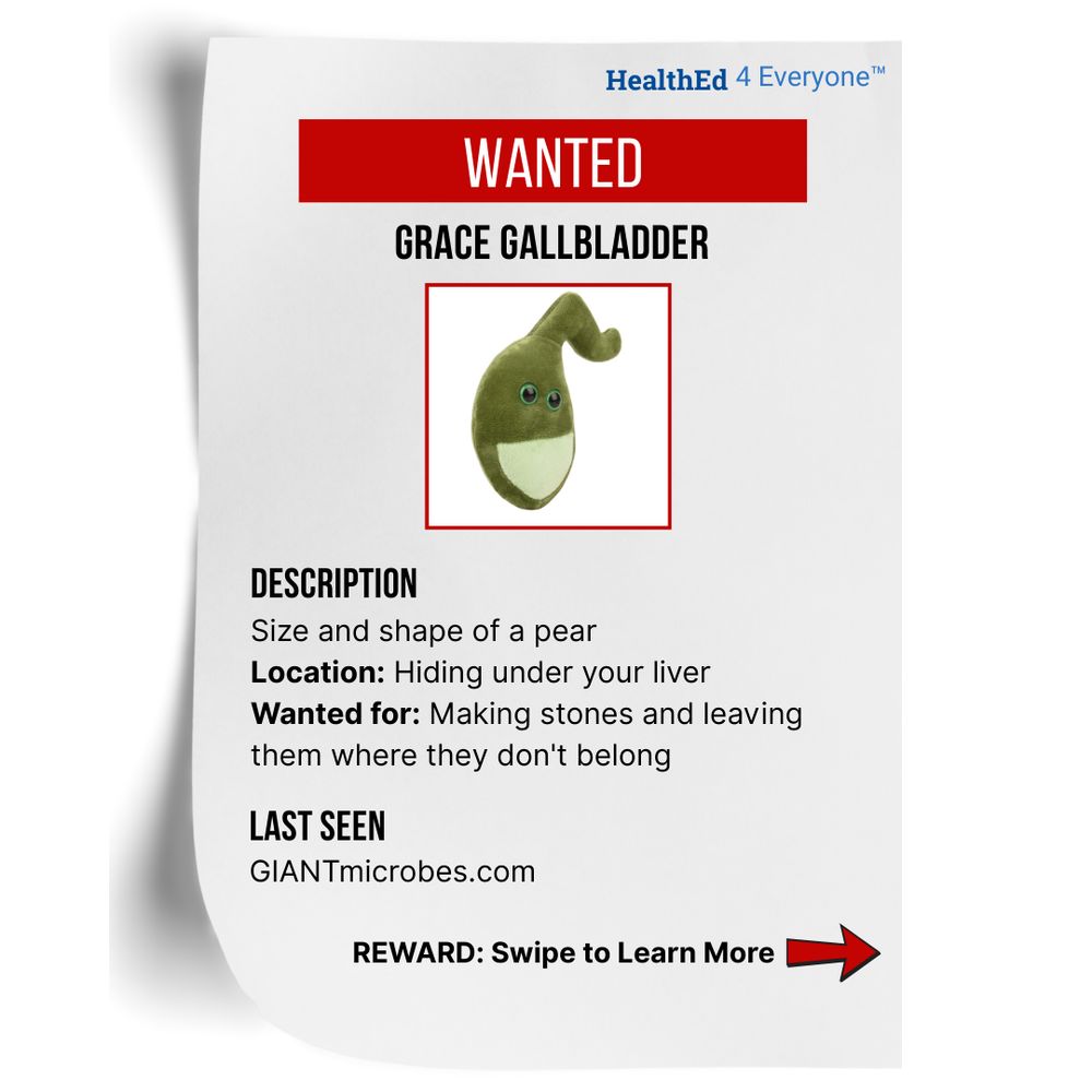 A wanted poster styled image with HealthEd4Everyone logo at top. Large red banner reads 'WANTED' in white text. Below is 'GRACE GALLBLADDER' in bold black text. Center shows illustration of an olive green gallbladder character shaped like a pear with googly eyes and a lighter green bottom section. Under image are three sections: 'DESCRIPTION' header followed by 'Size and shape of a pear', 'Location:' in bold followed by 'Hiding under your liver', and 'Wanted for:' in bold followed by 'Making stones and leaving them where they don't belong'. Bottom section 'LAST SEEN' with 'GIANTmicrobes.com' below. Red arrow at bottom points right with text 'REWARD: Swipe to Learn More'.