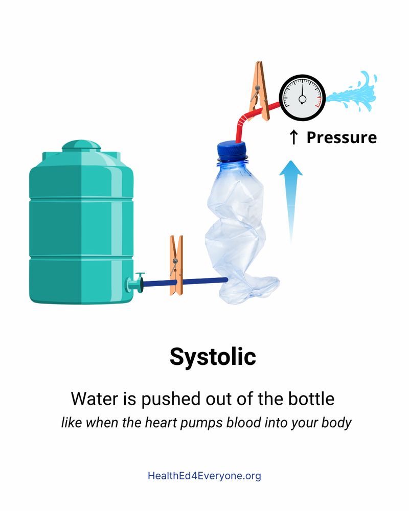 Water tank connected to squeezed water bottle shooting water through tube with pressure gauge showing 118, illustrating systolic blood pressure