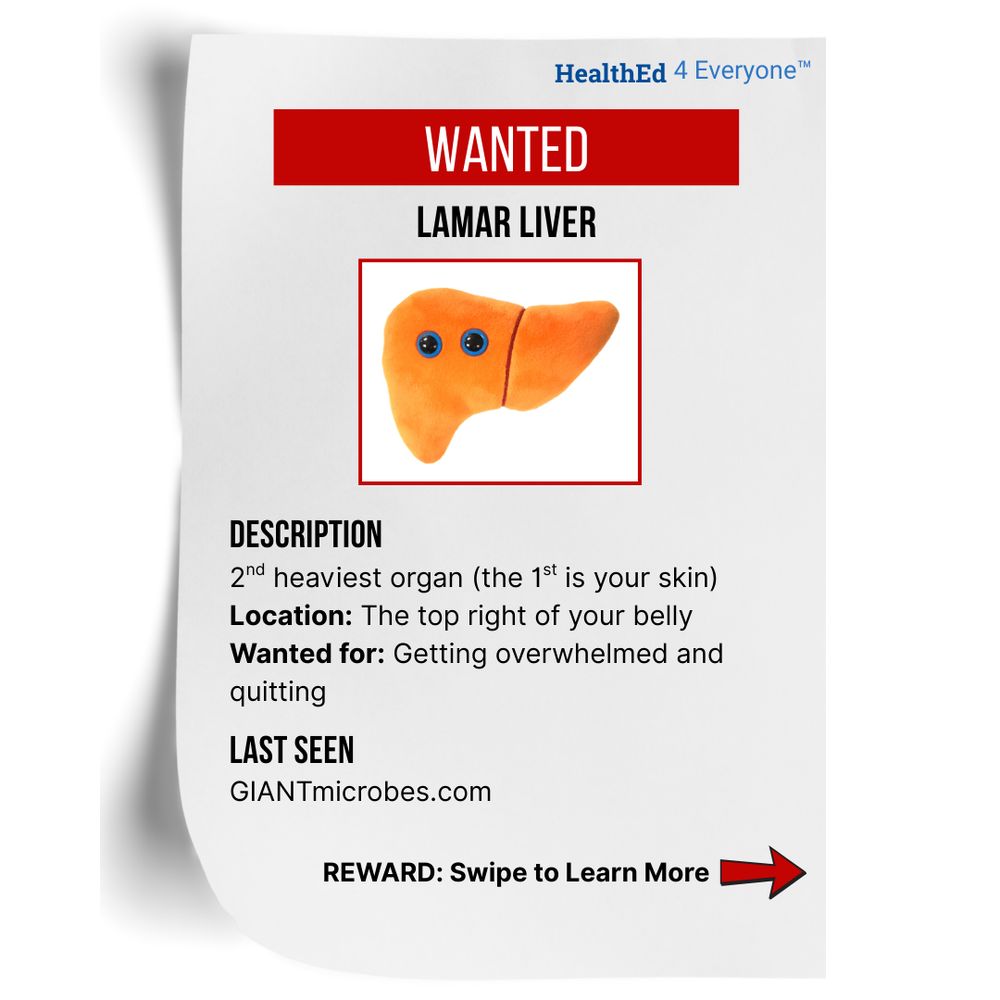A wanted poster styled image with HealthEd4Everyone logo at top. Large red banner reads 'WANTED' in white text. Below is 'LAMAR LIVER' in bold black text. Center shows illustration of an orange liver character with two lobes, googly eyes, and a happy expression. Under image are three sections: 'DESCRIPTION' header followed by '2nd heaviest organ (the 1st is your skin)', 'Location:' in bold followed by 'The top right of your belly', and 'Wanted for:' in bold followed by 'Getting overwhelmed and quitting'. Bottom section 'LAST SEEN' with 'GIANTmicrobes.com' below. Red arrow at bottom points right with text 'REWARD: Swipe to Learn More'.