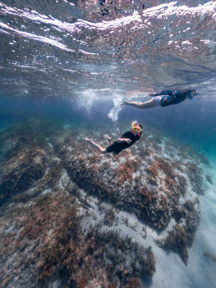 Snorkeller looking at the camera as they come up from the bottom.