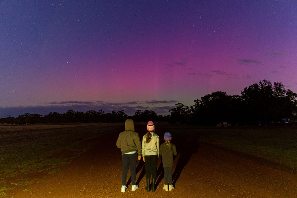 My kids watching the aurora over the end of our driveway. Aurora Australis (southern lights)