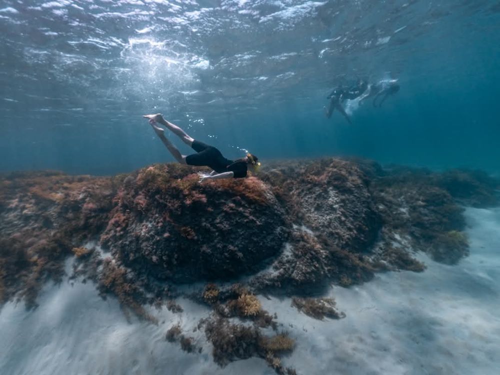 Snorkeller diving down to explore