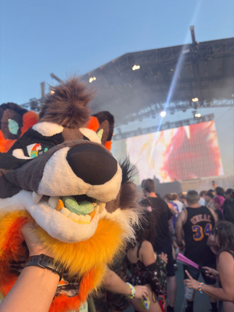 Holding up a fox future head in front of a stage.