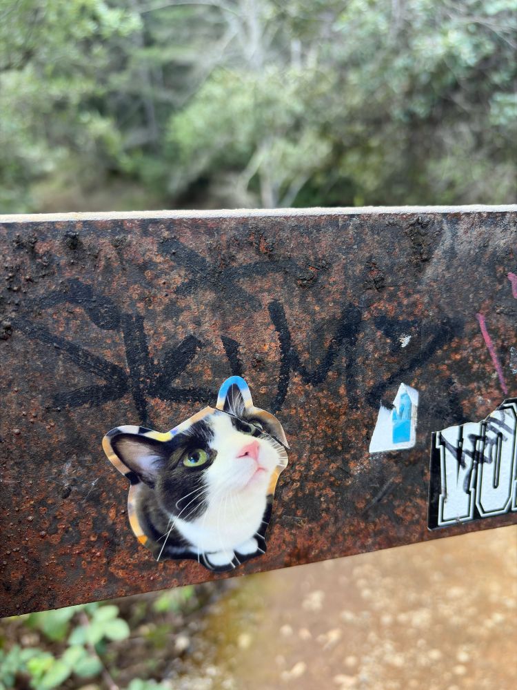 A sticker of a tuxedo cat looking up. Sticker is placed on the back of a trail sign. 