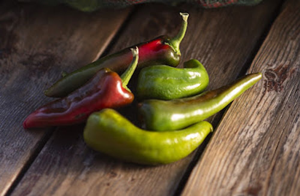 Mosco Peppers Make Colorado Over New Mexico Green Chile a Hot Topic | Westword