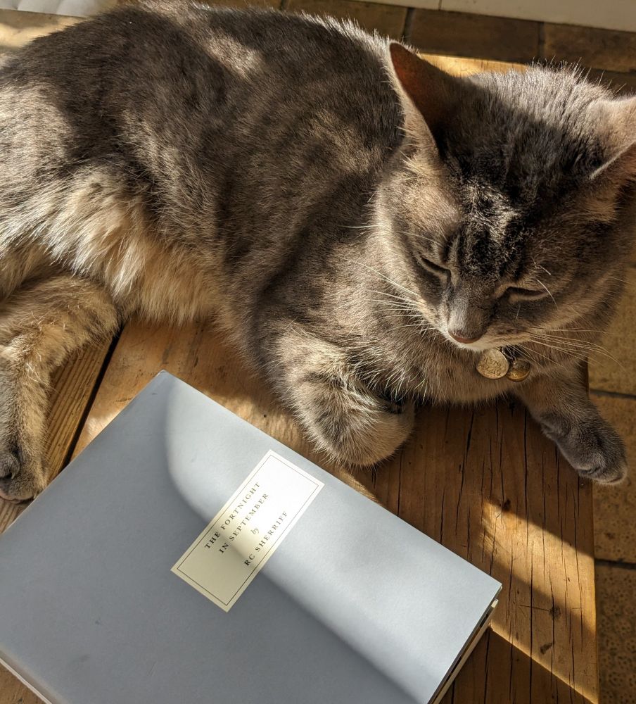 William the cat with the Persephone book " The Fortnight in September"