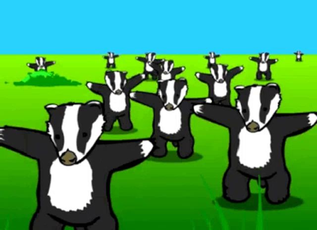 a bunch of badgers are dancing in a field