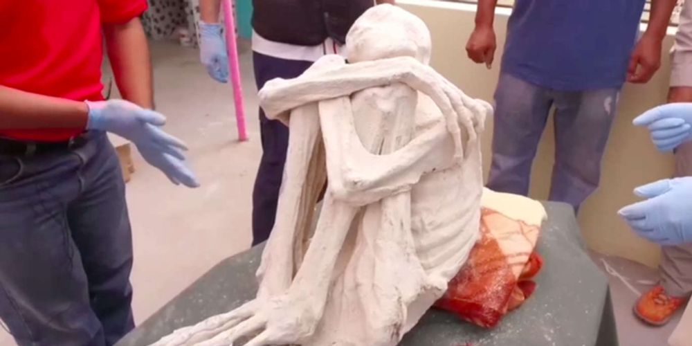 Denver Coroner Examines ‘Alien’ Mummies in Peru