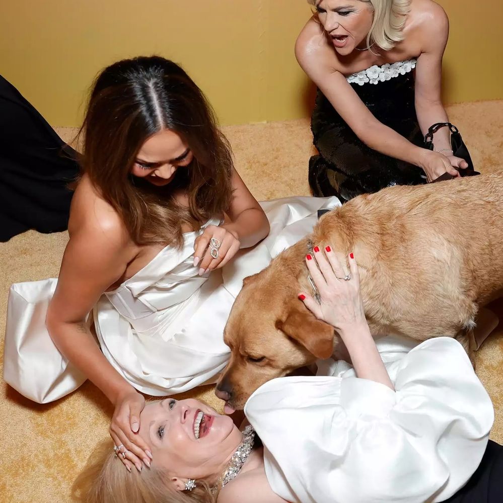 Aparentemente, son Christina Applegate y Chrissy Teigen jugando con el perro de servicio de Selma Blair.