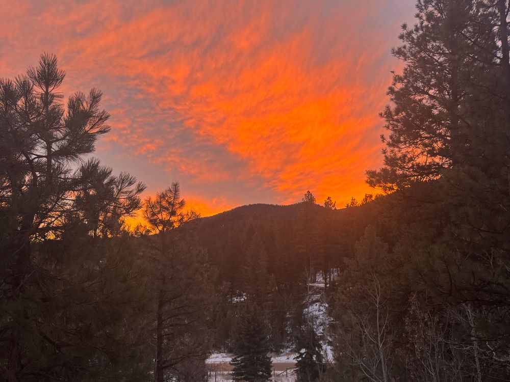 This image captures a mountain sunset that feels both fiery and tranquil.

For the visually impaired:

You are standing at the edge of a dense mountain forest. Tall pine trees, their needles dark and soft-edged, frame the view on both sides. Between their branches, the western sky burns with astonishing color — an expanse of vivid orange and molten gold that deepens toward crimson at the horizon. The clouds are feathered and streaked, like brushed paint across the sky, glowing as if lit from within. Beneath this blaze of light, the mountains form a dark, gentle silhouette — rounded peaks cloaked in forest and shadow. A faint trace of snow glimmers in the hollows below, but the sunset dominates everything, turning the world warm and alive for one breathtaking moment before night arrives.
