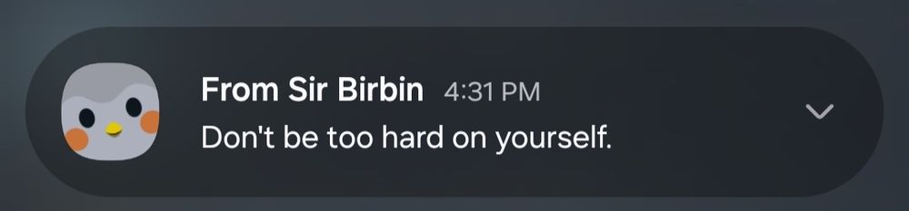 A bird, telling me not to be hard on myself. 